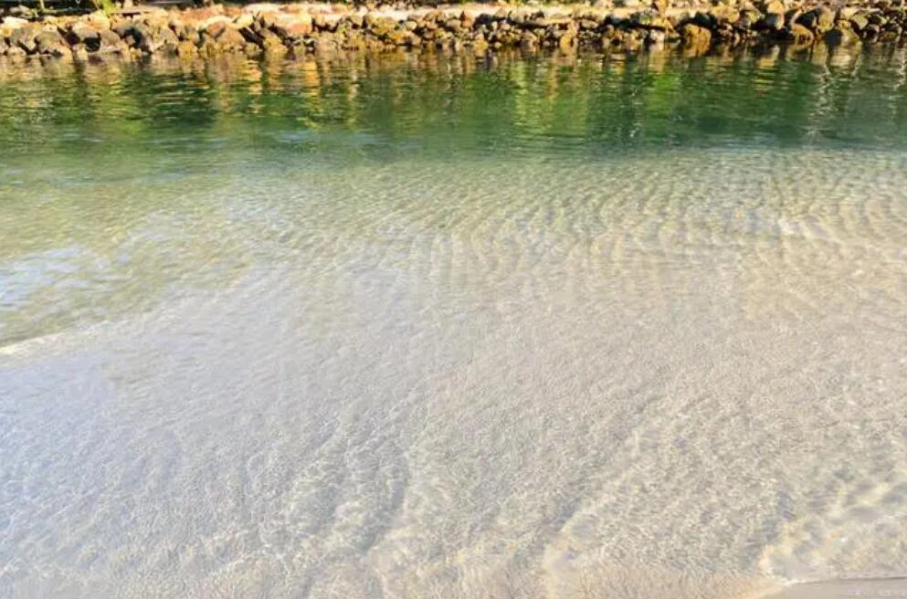 Application of Radar Water Level Sensor in Shoal